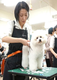 自由なフリータイム制 授業風景写真02