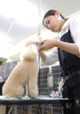自由なフリータイム制 授業風景写真03