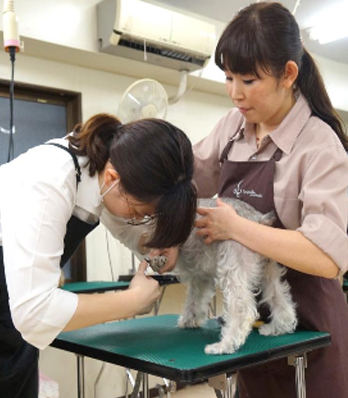 授業はどこよりも少人数制 授業風景写真06