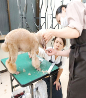 実践的で熱意あふれる授業 授業風景写真09