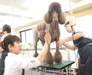 プロトリマーを養成コース 授業風景写真11