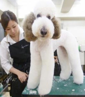 リーズナブルで明確な授業料 授業風景写真16