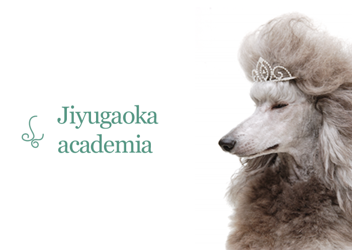 トリマー専門の養成学校 トリミングペット画像
